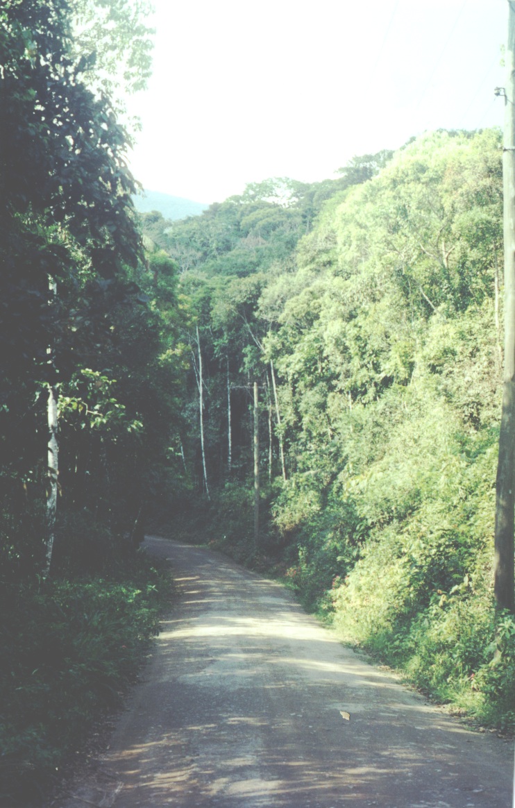 A68