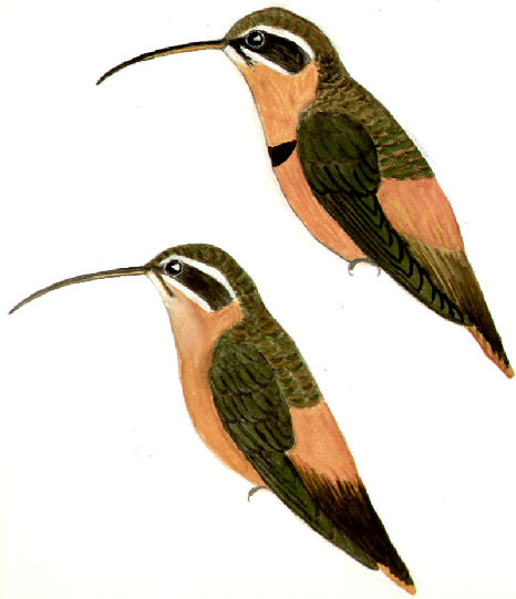 Historical image 10216
