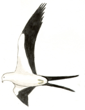 Historical image 10612