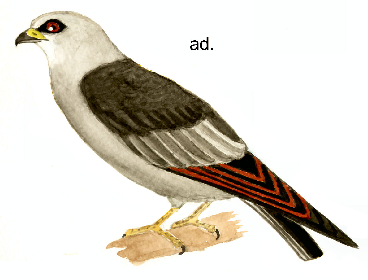 Historical image 1832