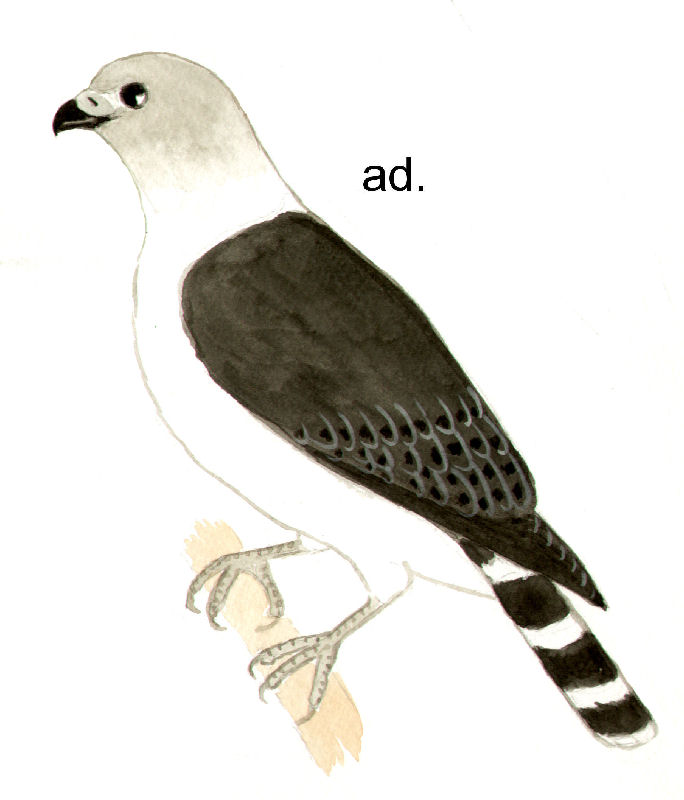 Historical image 4819