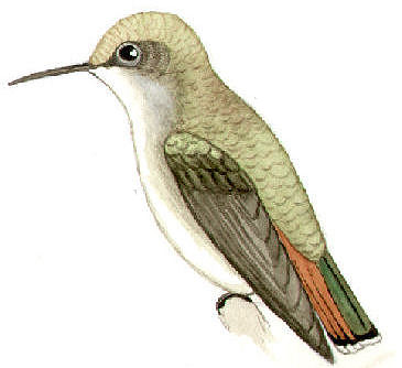 Historical image 7015