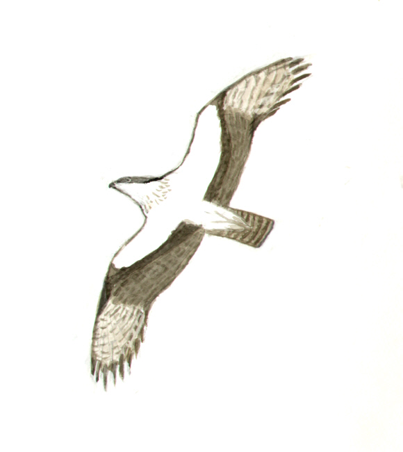 Historical image 7144