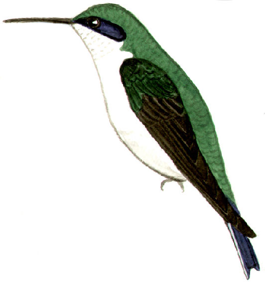 Historical image 9008