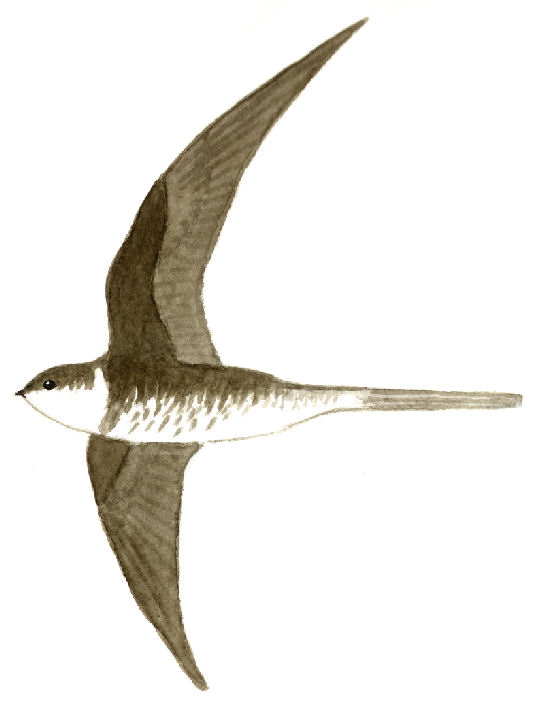 Historical image 9060